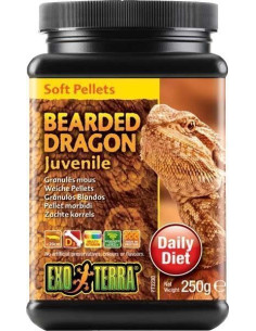 Alimento Dragon Juvenil 250 Gr