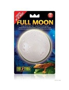 Full Moon Leds