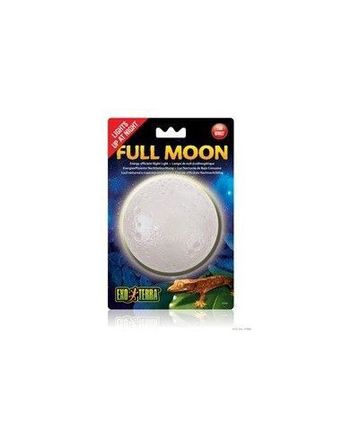 Full Moon Leds