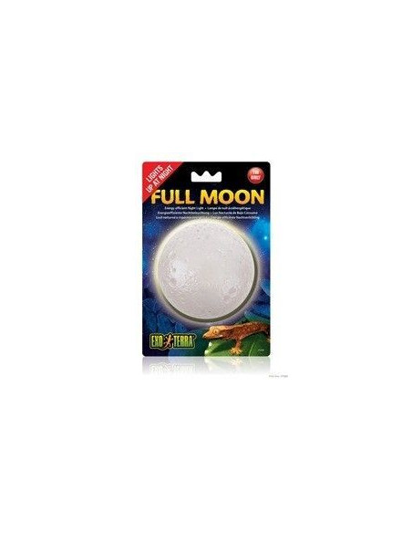 Full Moon Leds