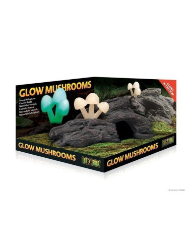 Setas Fluorescentes Glow Mushrooms
