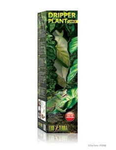 Dripper Plant Gde.