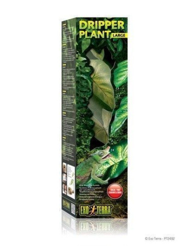 Dripper Plant Gde.