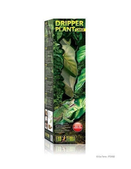 Dripper Plant Gde.