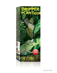 Dripper Plant Pequeño