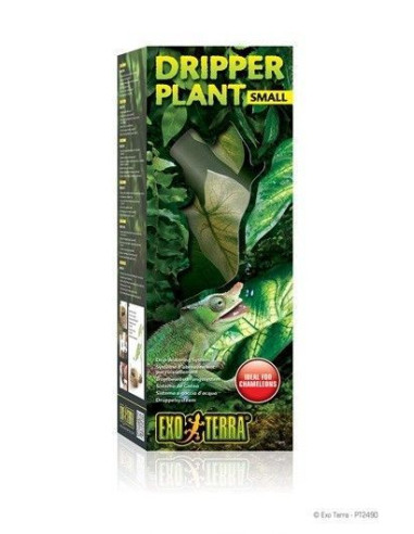 Dripper Plant Pequeño
