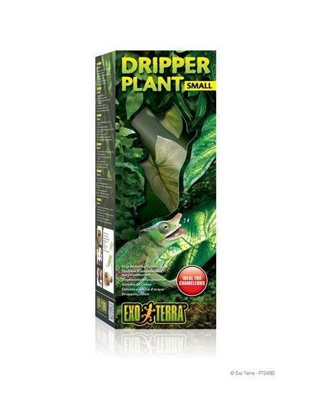 Dripper Plant Pequeño
