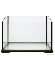 Tortum cristal