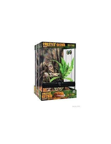 Exo Terra Kit Terrario GeckoCrestado, S 30x30x45cm