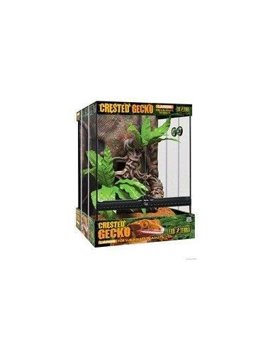 Exo Terra Kit Terrario GeckoCrestado, L 45x45x60cm