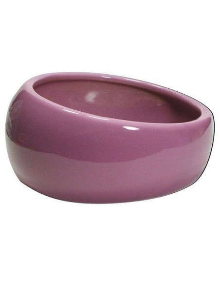 Comedero Ergonómico Rosa Gde