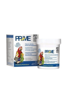 Prime 60g