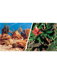 Bromelias/Desierto 30cm X 15 M