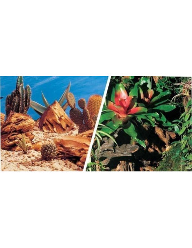 Bromelias/Desierto 30cm X 15 M
