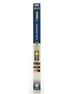 Marine Glo Fluorescente 55 Cm 24 W T5