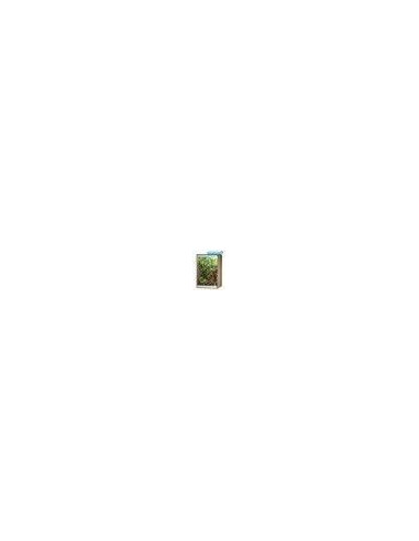 Vivarium Peq. Haya Viva Arboreal