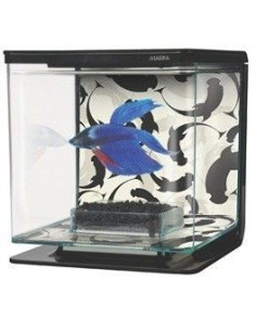 Marina Betta Kit, Ying Yang