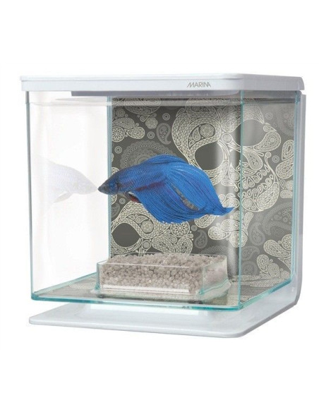 Marina Betta Kit - Craneos