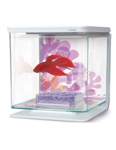 Marina Betta Kit, Flower