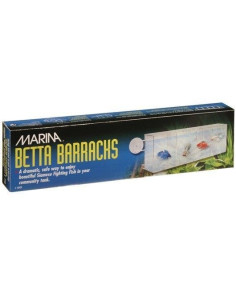 Multibettera