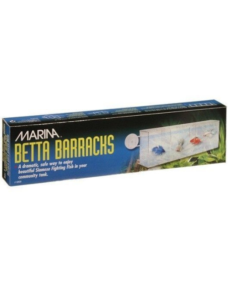Multibettera