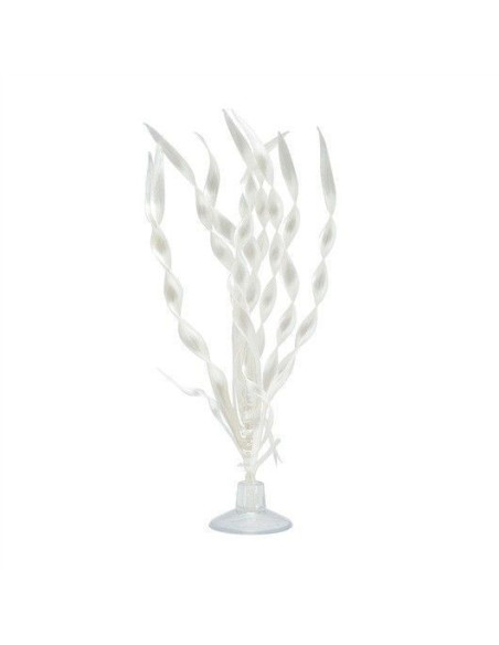 Valisneria Con Ventosa 12,5cm