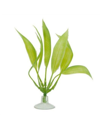 Amazona Con Ventosa 12,5cm