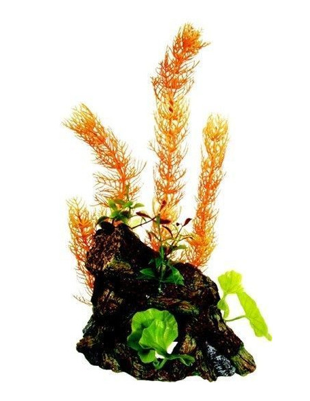 Decoración Wood Tronco Con Plantas Grande.