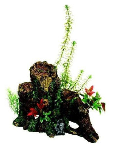 Decoración Wood Tronco Con Plantas X-Gde.