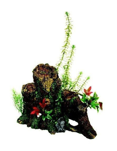 Decoración Wood Tronco Con Plantas X-Gde.