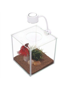 Marina Betta Cubus Kit Bettera, 3,4L