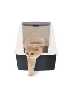 Gatera Magic Blue Jumbo 2