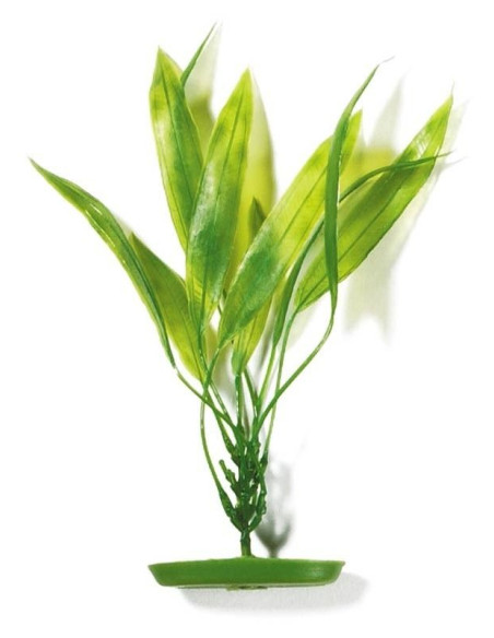Marina Aquascaper X-Gde  Amazon Sword Plant 37,5cm