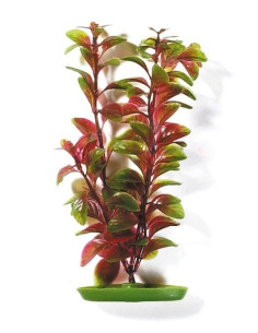 MARINA AQUASCAPER GDE.  LUDWIGIA ROJA 30 cm