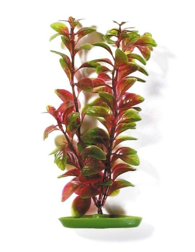 Marina Aquascaper X-Gde.  Ludwigia Roja 37,5 Cm