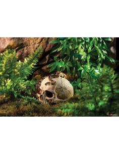 Exo Terra Primate Skull