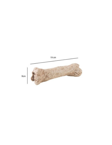 Exoterra Dino Hueso