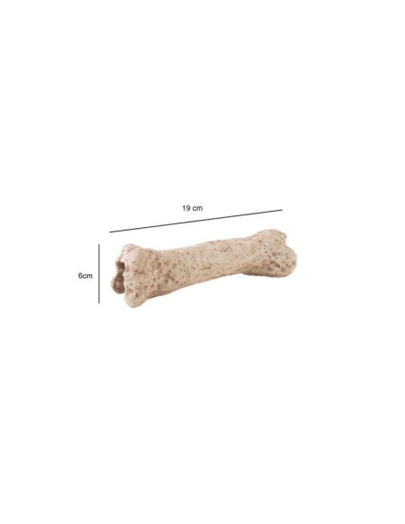 Exoterra Dino Hueso