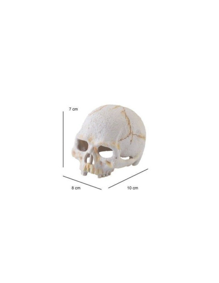 Exo Terra Primate Nano