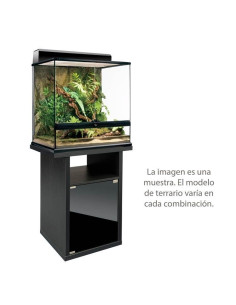 Terrario Combo 60 Tall 60 Cm Alto
