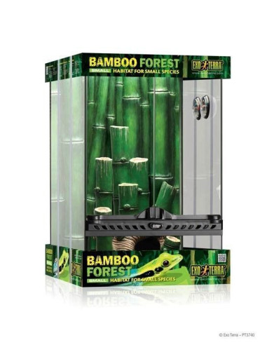 Terrario Kit  Bamboo Pequeño 30x30x45