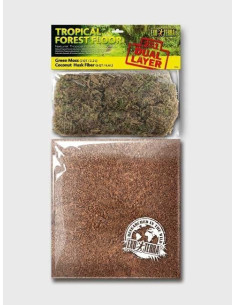 Tropical Forest Floor 8,8 Lts