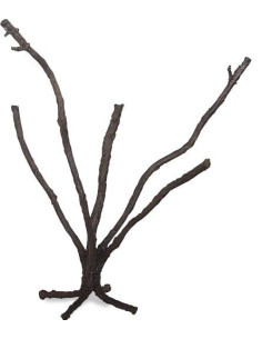 Jungle Tree Grande