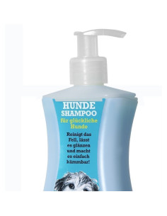 Champú Blucy 300ml Wash Clean Shine