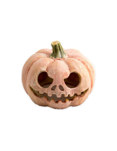 Exo Terra Calabaza Fluorescente