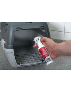 Spray100ml Felisept 
