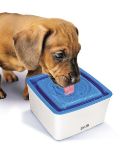 Zeus Mini Bebedero Fuente, 1,5L