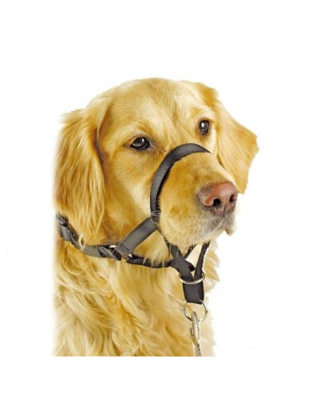 Collar Anti Tirones Pawisetalla 2