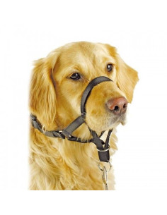 Collar Anti Tirones Pawisetalla 5