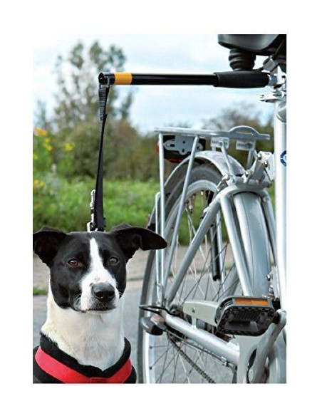 Adaptador Y Correa Para Bicicleta Pawise